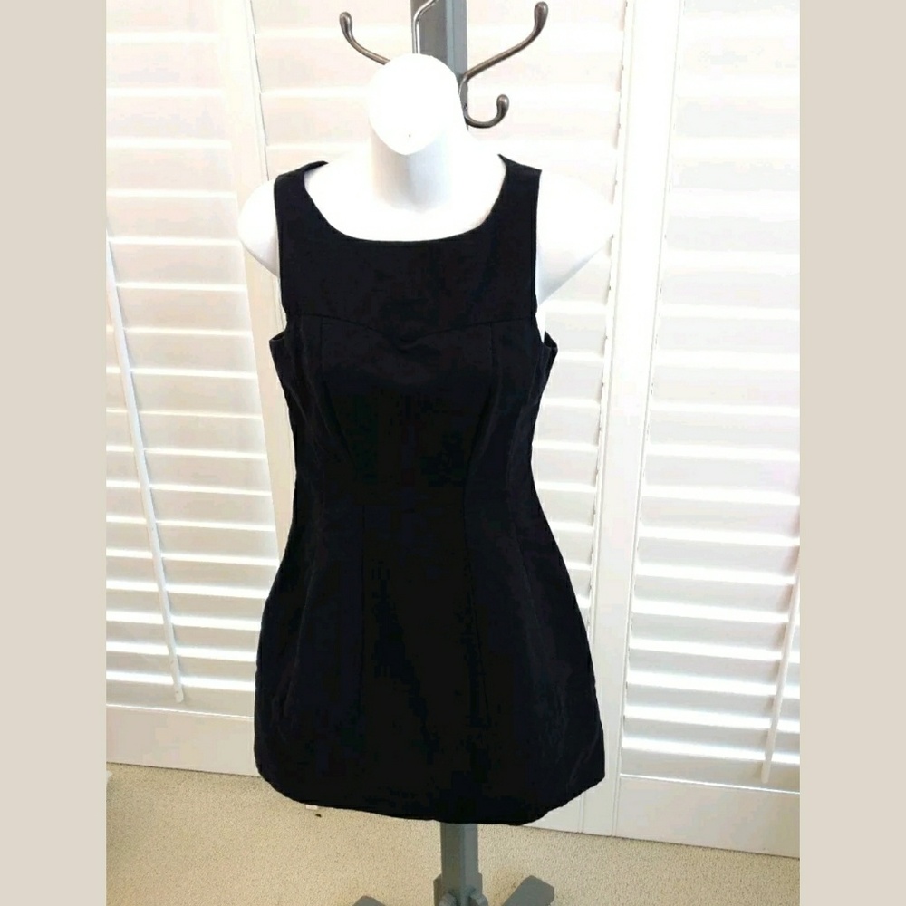 BB Dakota LBD sz 2 Bubble Dress